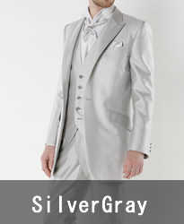 �V���o�[�O���[�~�f�B�A���^�L�V�[�h